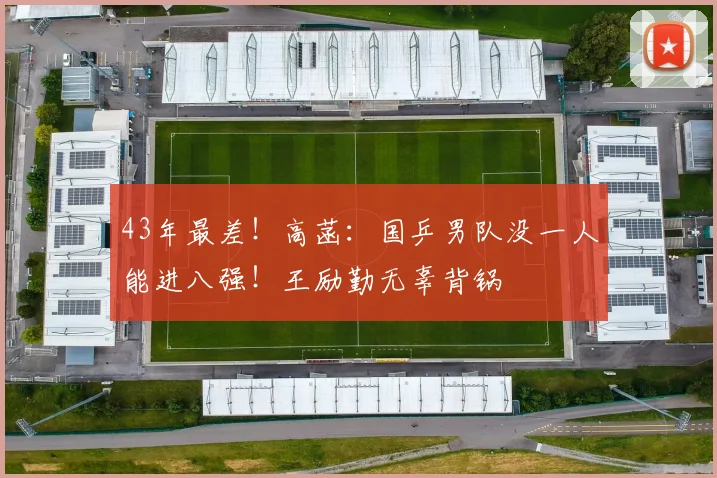 43年最差！高菡：国乒男队没一人能进八强！王励勤无辜背锅