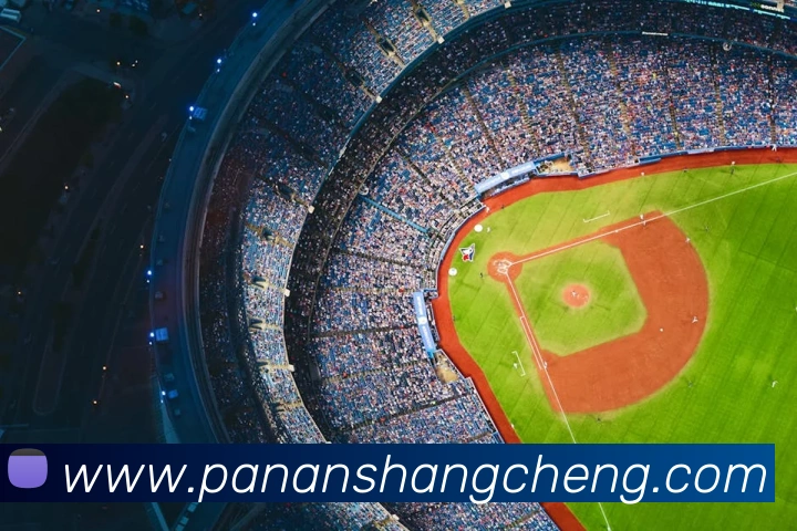 华体网手机版登录入口平台生态图